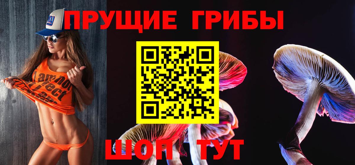 Псилоцибиновые грибы Psilocybe  Вход с VPN  Лабинск 